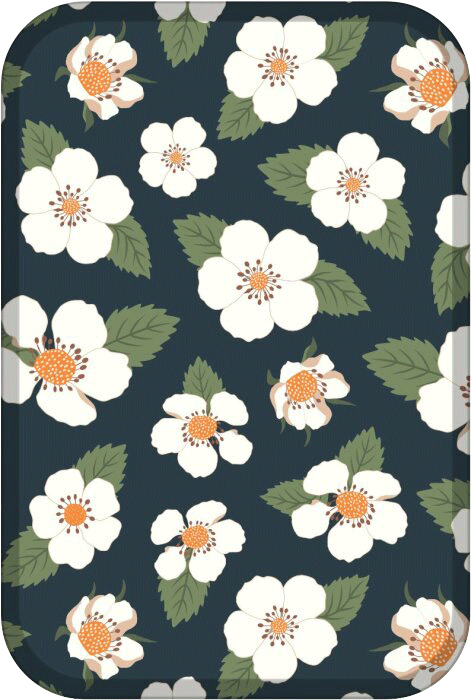 MagSafePouch_0015_Layer-0