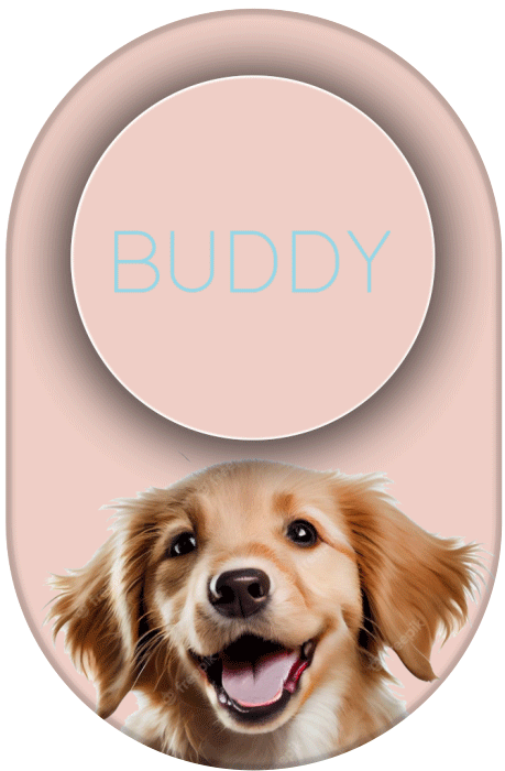 Magnetic-Phone-Grip_0016_magnetic_wireless_charger-0